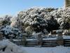 v-baruchello-16-12-2010-17